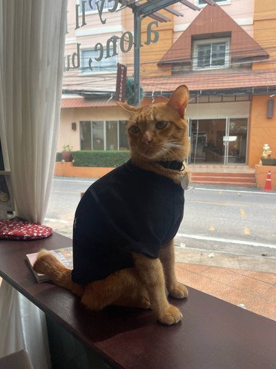อื่นๆ