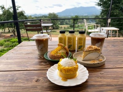 ไร่ข้าวโพดหวานคอร์นนิลี่ - Cornily Corn Farm