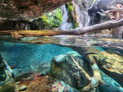 Osaka Aquarium Kaiyukan