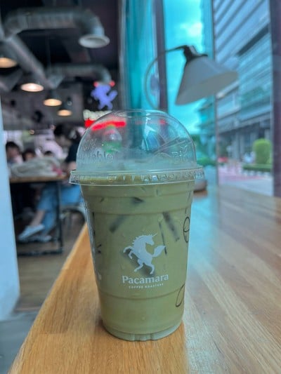 Iced Japanese Matcha Latte