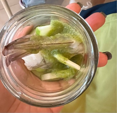 กุ้งแช่น้ำปลา