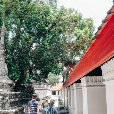 ไขปริศนาวัดพระธาตุเมืองนครศรีธรรมราช 