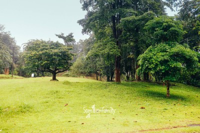 เหนือฟ้ายังมี น้ำตกเหนือฟ้า #UNSEED สายน้ำที่สะอาดที่สุดในไทย