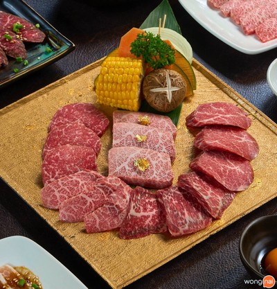 Tokyoxxx Premium Ari