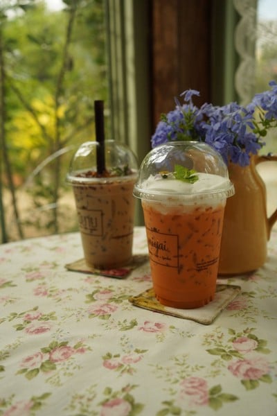 นิยายบ้านสวน ไทรน้อย