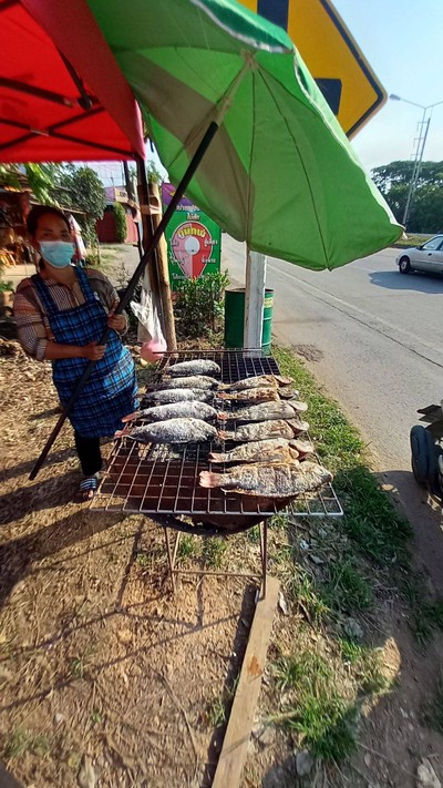 ขายทุกวันปลาสดๆครับพร้อมชุดผักสดในราคาเท่าเดิม