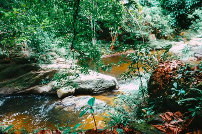 Wangsilarak Waterfall พิกัดลับ น้ำตกกลางป่า แห่งโอโซนชั้นดี และมีหินหัวงูขนาดใหญ่ 