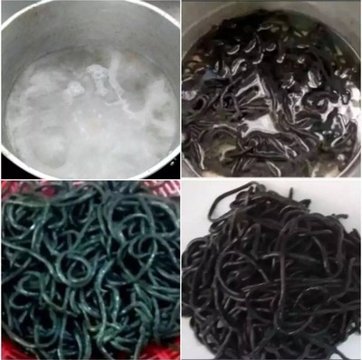 วิธีทำ สปาเก็ตตี้ดำผัดกระเพราหอยแมลงภู่