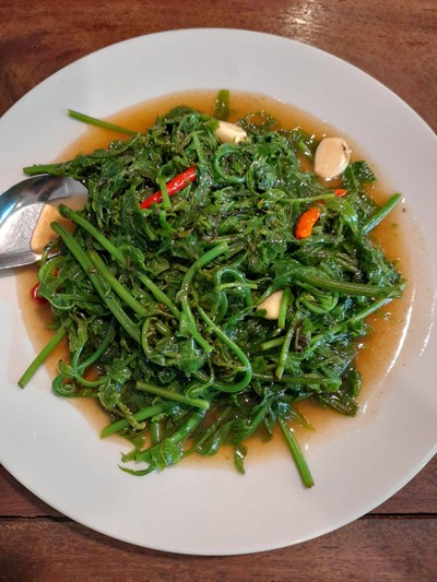 ผัดผักกูดน้ำมันหอย