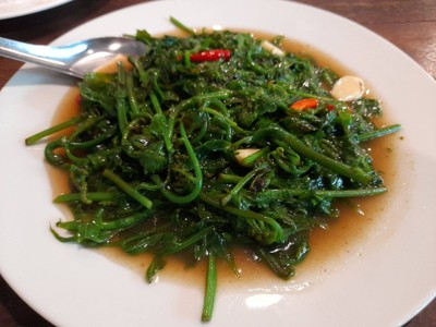 ผัดผักกูดน้ำมันหอย