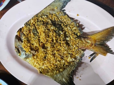 เมนูของร้าน อาหารป่าคลองครุ