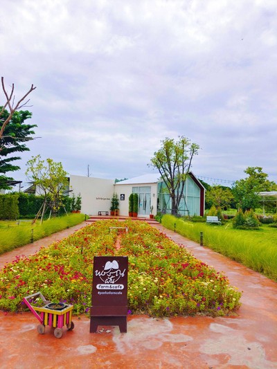 หน้าร้าน