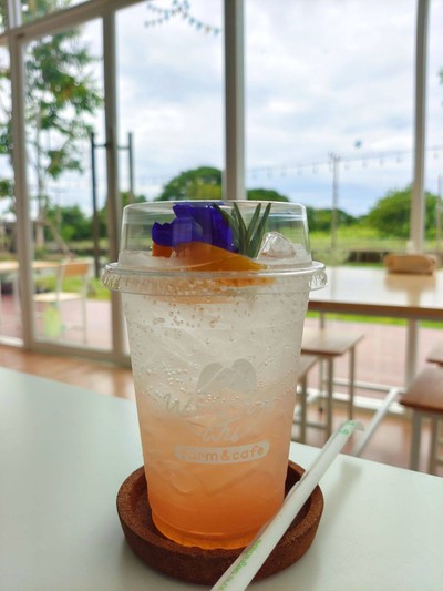 พีซโซดา