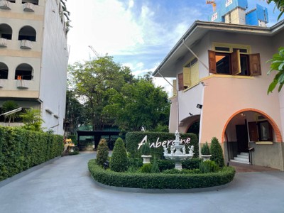 Aubergine and Escargot