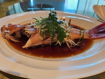 ปลาเก๋าแดงนึ่งซีอิ๊ว