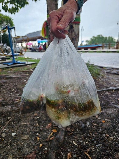 ข้าวต้มเป็ดพะโล้ ห่อ