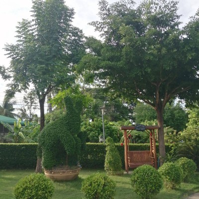 บริเวณโดยรอบ