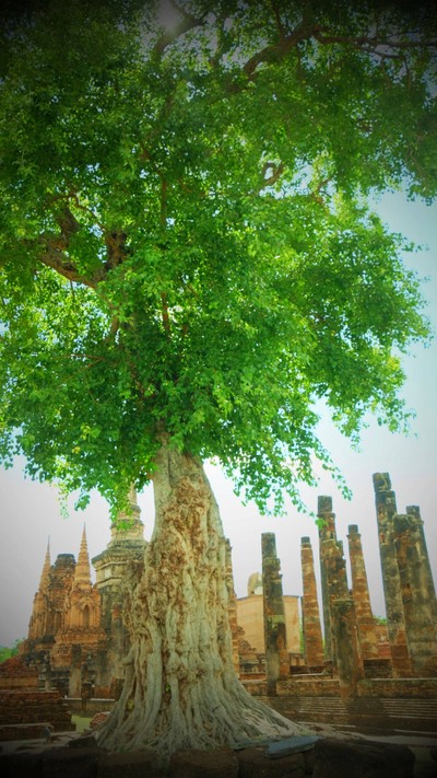 บรรยากาศ