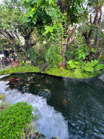 หลงป่า คาเฟ่ อุดรธานี