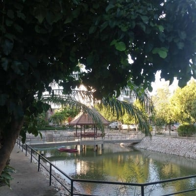 บริเวณโดยรอบ