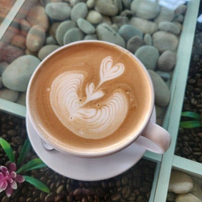 Hot Latte