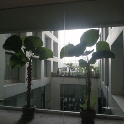 บริเวณโดยรอบ