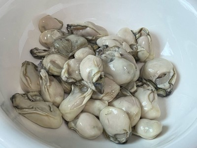 หอยนางรม