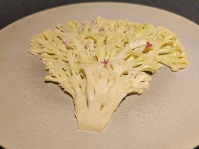 ผัดกะหล่ำปลี่ดอง