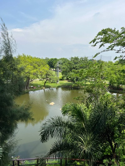 วิวนอกห้อง