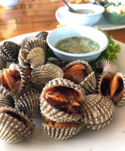 หอยแครง