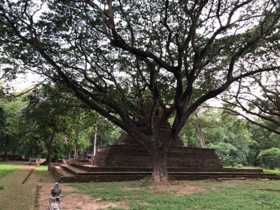 วัดมหาธาตุ