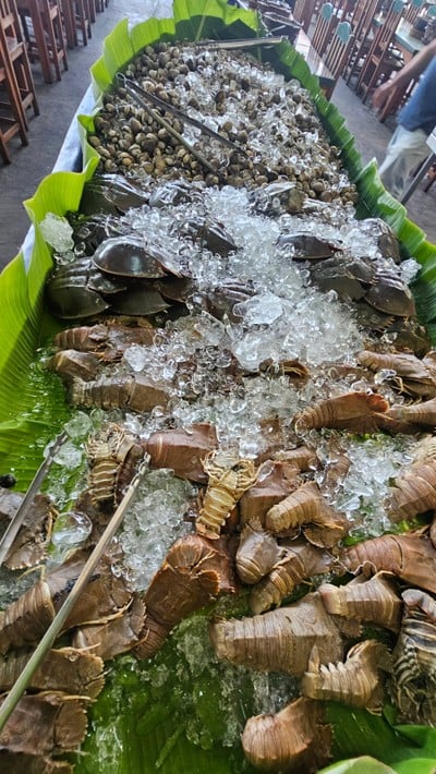 ฟินน์ บุฟเฟ่ต์