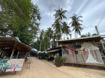 ต้นไม้ยักษ์ 400 ปี บ้านสะนำ