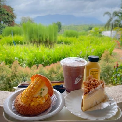 ไร่ข้าวโพดหวานคอร์นนิลี่ - Cornily Corn Farm