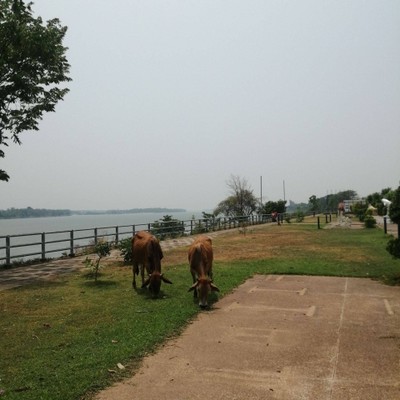 บรรยากาศ