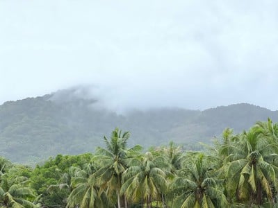 วิวนอกห้อง