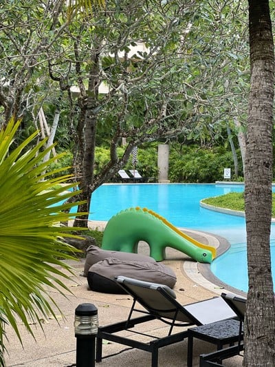 สระว่ายน้ำ/ชายหาด