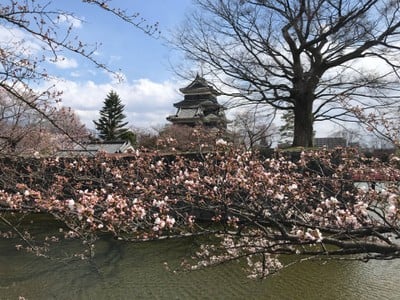 บรรยากาศ Matsumoto Castle