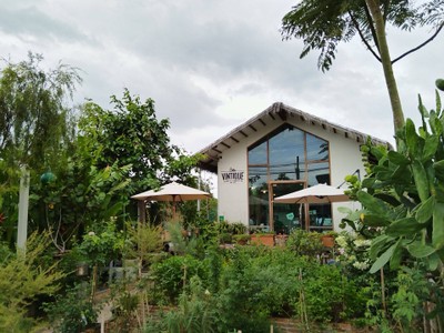 บรรยากาศ