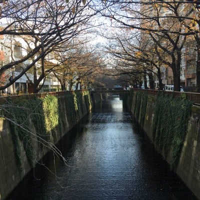 Meguro River