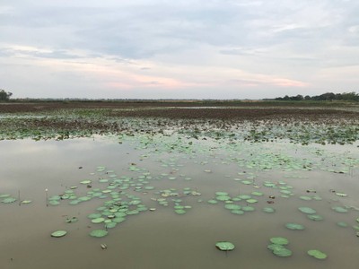 บรรยากาศ