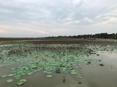 บรรยากาศ