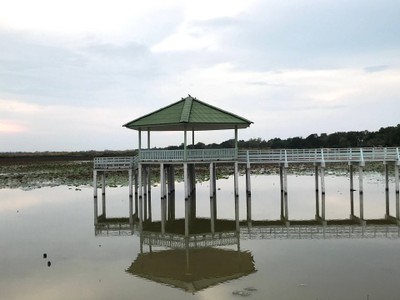 บรรยากาศ