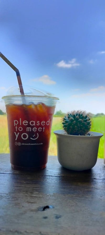 pleased to meet you cafe