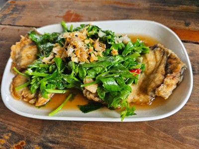 ปลาขึ้นฉ่าย