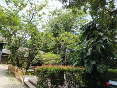 บรรยากาศ