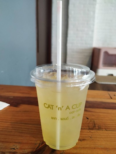 Honey Lemon(Iced)