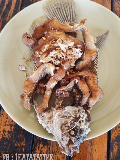 ปลาแรดทอด