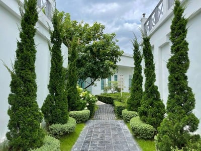บริเวณโดยรอบ