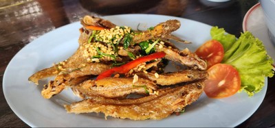ปลาหางไก่ ทอดกระเทียม